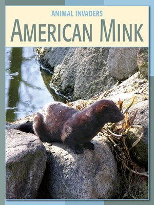 cover image of American Mink